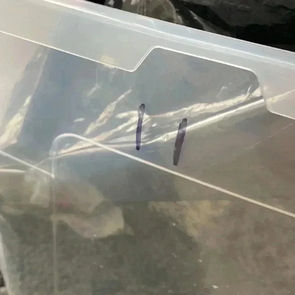 New Balance Fresh Foam Arishi Men 8 Lace-Up Athletic Shoes Casual Sporty Sneaker - Picture 9 of 9